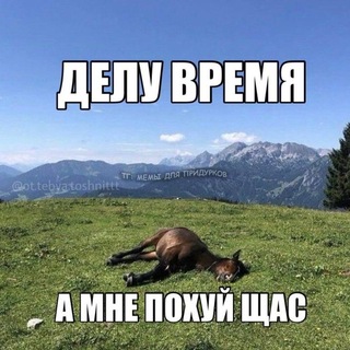 Telegram profile photo for Сага о Взрослении