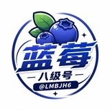 Telegram profile photo for 蓝莓八级号