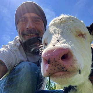 Telegram profile photo for متجر نيغن للارقام - ارقام تفعيل