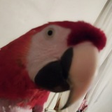 Telegram profile photo for East Virginia Phamily Chat - Middle Penninsula