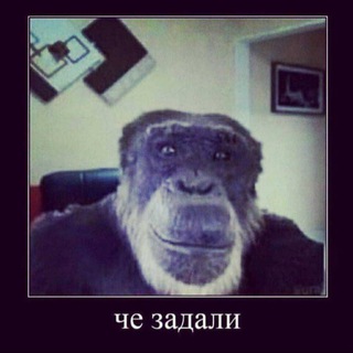 Telegram profile photo for Звоночек для учителя