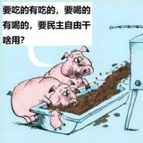 Telegram profile photo for 支那傻事