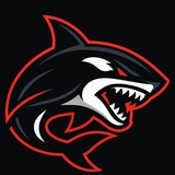 Telegram profile photo for Kasatka
