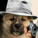 Telegram profile photo for Репресії Науки 🔎