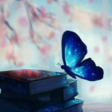 Telegram profile photo for ساز دل
