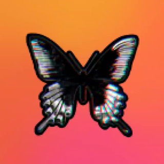 Telegram profile photo for Fly Journal