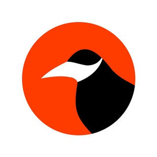 Telegram profile photo for Russian Anti-Virus Emergency Network (RAVEN)