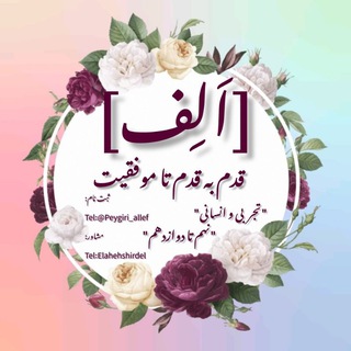 Telegram profile photo for تیم مشاوره اَلِف|Alef team