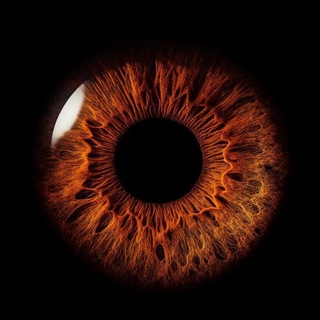 Telegram profile photo for ππ―πππ―π