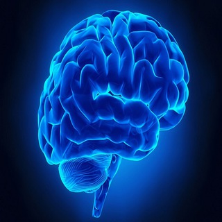 Telegram profile photo for 🧠 Psychology Videos Mind Tricks