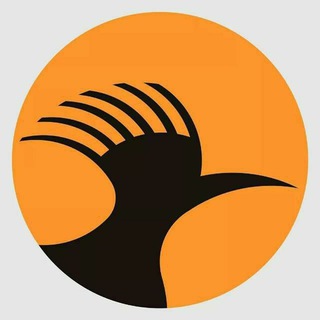 Telegram profile photo for HudHud Times