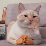 Telegram profile photo for T's Lounge