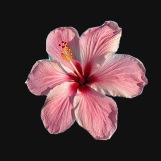 Telegram profile photo for إِطمئِن.