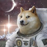 Telegram profile photo for Жизнь- реалити🤫