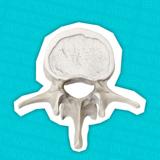 Telegram profile photo for MEDIUS | 3 КУРС