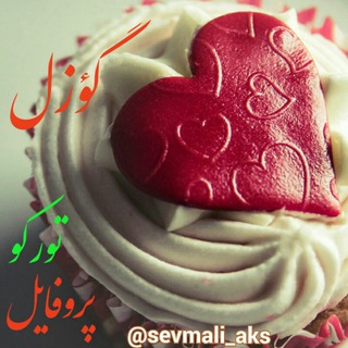 Telegram profile photo for زیباترین های دنیا❤️