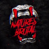 Telegram profile photo for Naturesbrutal 🐊🦁🦍🦈🩸
