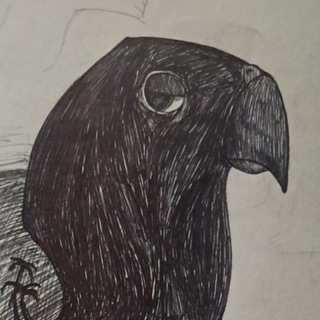 Telegram profile photo for Mufiso