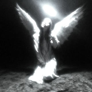 Telegram profile photo for DEAD DYNASTY | life