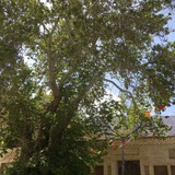 Telegram profile photo for سیمای طزرجان