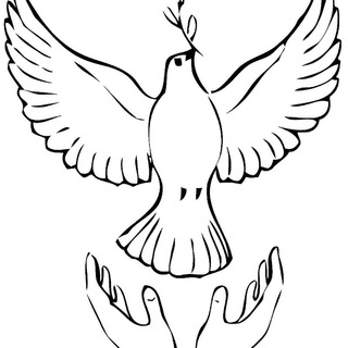 Telegram group profile photo for Коллективное Обращение иностранных студентов в Правительство РФ. За возможность въезда в Россию для продолжения очного обучения.