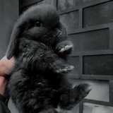 Telegram profile photo for Вы все мой Батоныヾ(❀╹◡╹)ノ゙❀~