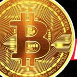 Telegram profile photo for freebitco.in