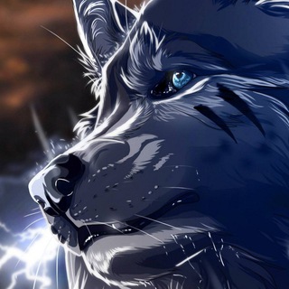Telegram profile photo for Логово Varga