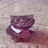 Telegram profile photo for 𝑠𝑜𝑛𝑐ℎ𝑜𝑦𝑠