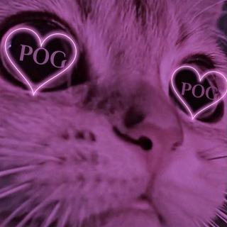 Telegram profile photo for POG | piece of good