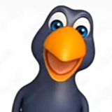 Telegram profile photo for Дом арабов