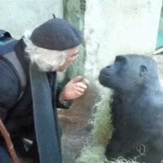 Telegram profile photo for Денчік колить