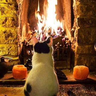 Telegram profile photo for Уютный дом 🕯 Эстетика жизни ✨