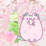 Telegram profile photo for hanami info