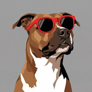 Telegram profile photo for истории рыжей кошки