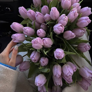 Telegram group profile photo for Поставщики💜