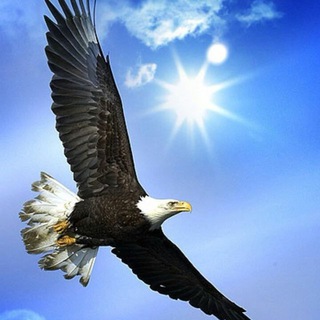Telegram profile photo for بنام هستی بخش وجود