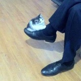 Telegram profile photo for Отступник