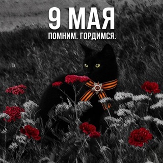 Telegram profile photo for аб новости