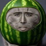 Telegram profile photo for одиночная камера фудболки