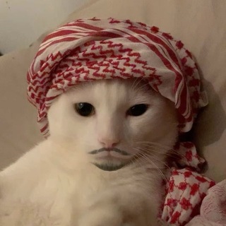 Telegram profile photo for Ваксек | Канал Лидера