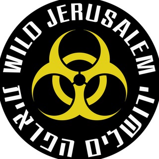Telegram profile photo for Wild Jerusalem