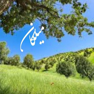 Telegram profile photo for Mîlkan | میلڪان