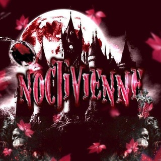 Telegram profile photo for 𝗔𝗥𝗖𝗛𝗜𝗩𝗘 @NOCTIVIENNE 🩶