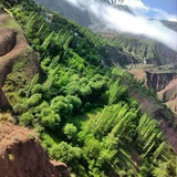 Telegram profile photo for ~دیڪینیـها~