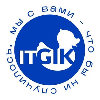 Telegram profile photo for itgik