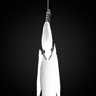 Telegram profile photo for asphyx1a