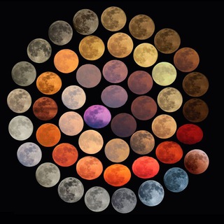 Telegram profile photo for Witness 2021