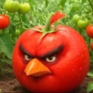 Telegram profile photo for милграм нсфв переходник 👅