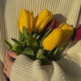 Telegram profile photo for ربية